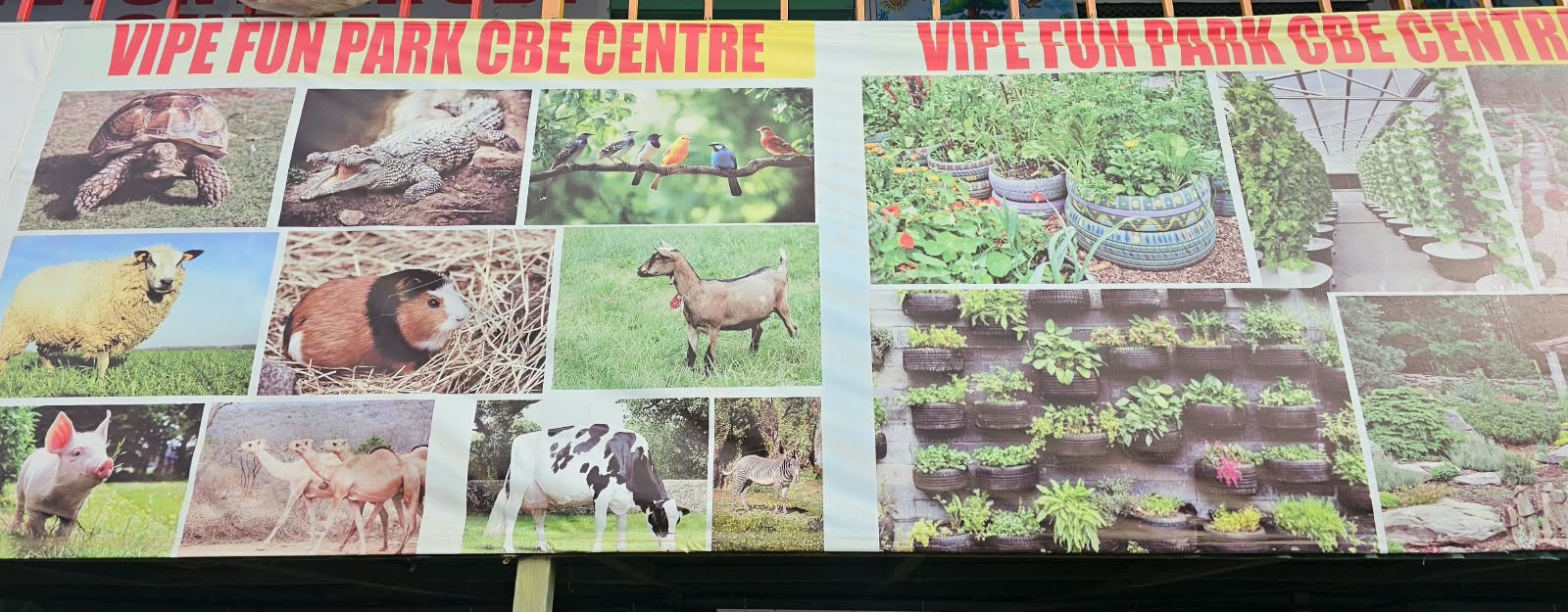 The Vipe Fun Park CBE Centre banner showing animals, tyre gardens and vertical farming