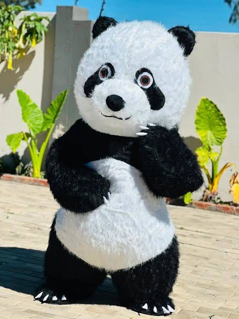 A black and white panda mascot costume available for celebrations